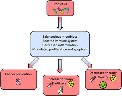 Microbiota Manipulation by Probiotics Administration as Emerging Tool in Cancer Prevention and Therapy